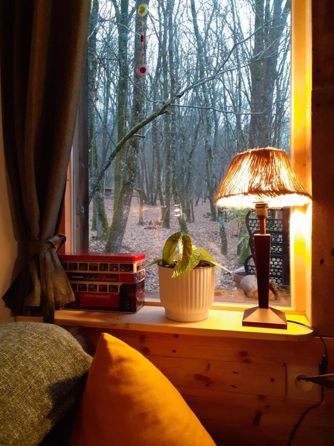 Le Gite De La Cabane De L'Oiseau Couze-et-Saint-Front Bagian luar foto