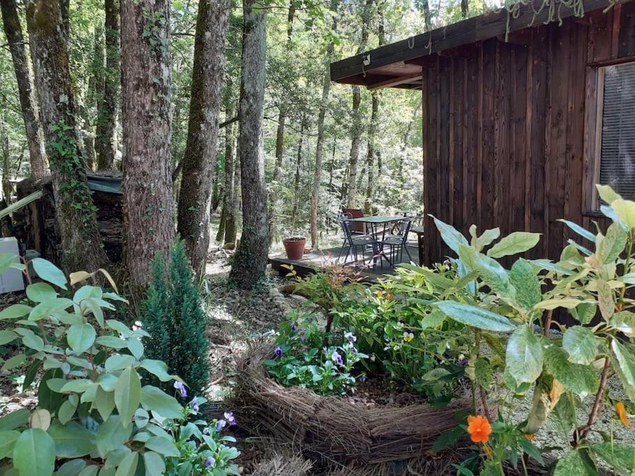 Le Gite De La Cabane De L'Oiseau Couze-et-Saint-Front Bagian luar foto