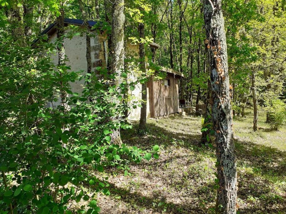 Le Gite De La Cabane De L'Oiseau Couze-et-Saint-Front Bagian luar foto
